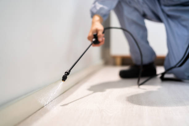 Professional exterminator conducting IPM assessment in Lake Zurich