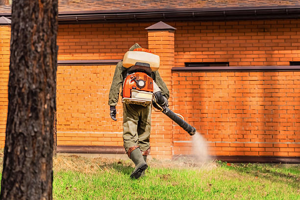 Top rated local Mosquito Control specialists in Lake Zurich, IL